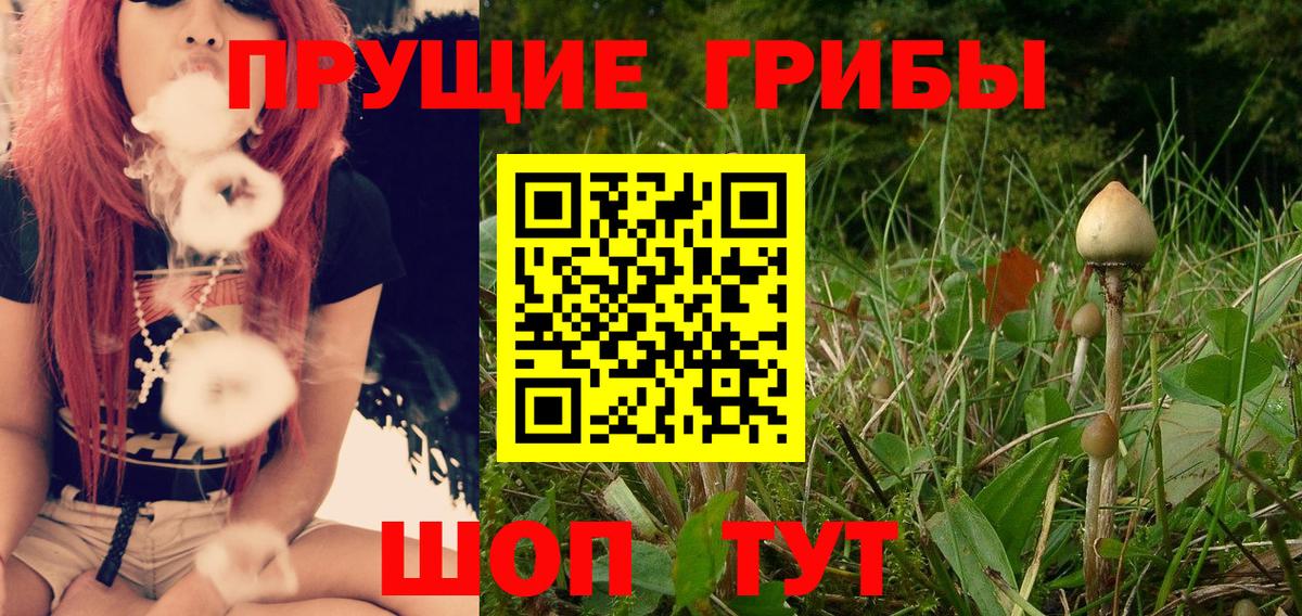 Псилоцибиновые грибы мицелий Сызрань