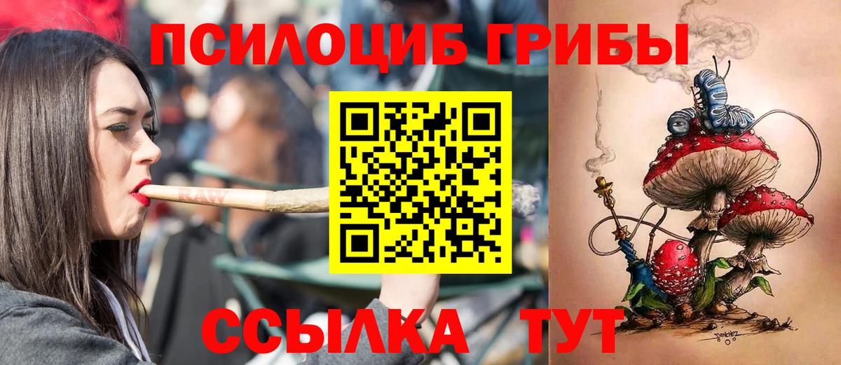 Сызрань  Галлюциногенные грибы MAGIC MUSHROOMS  Вход с VPN  Галлюциногенные грибы GOLDEN TEACHER 